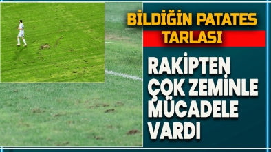 BOLU'NUN PATATES TARLASINDAN BİR TIK!